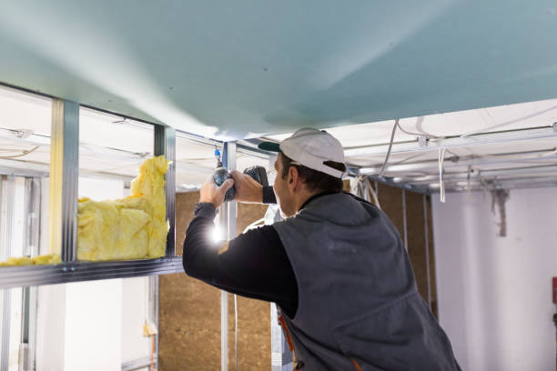 Best Residential Insulation in Alb, IA